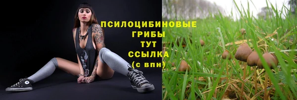 дмт Абинск