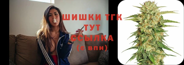 дмт Абинск