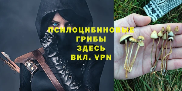 дмт Абинск