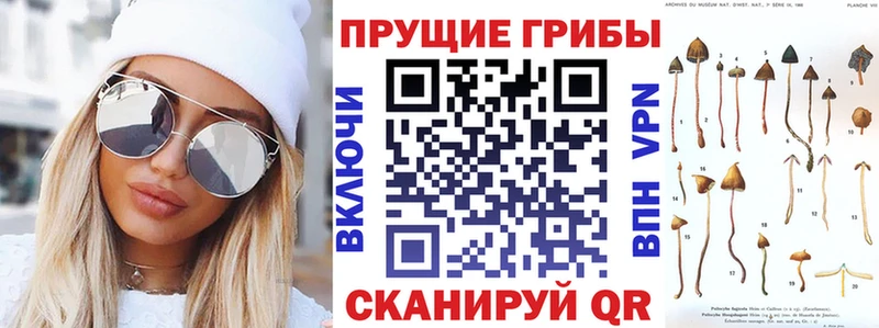 Галлюциногенные грибы прущие грибы  Чулым 